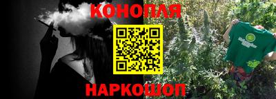 крисы Коммунар