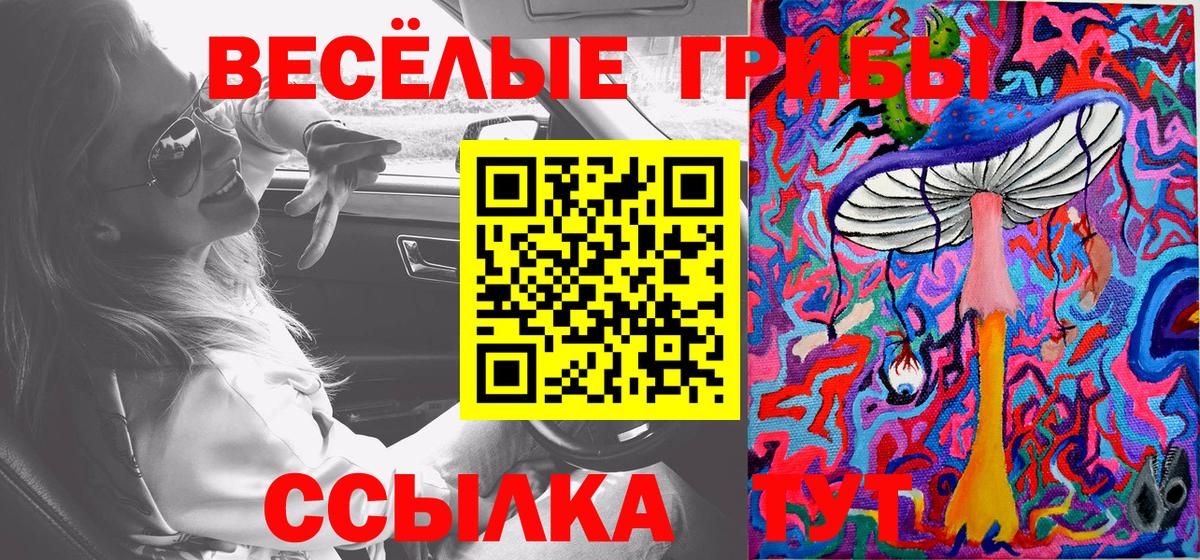 как найти наркотики  Вход с VPN  Галлюциногенные грибы прущие грибы  Качканар  Псилоцибиновые грибы Magic Shrooms 